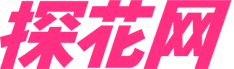 探花网